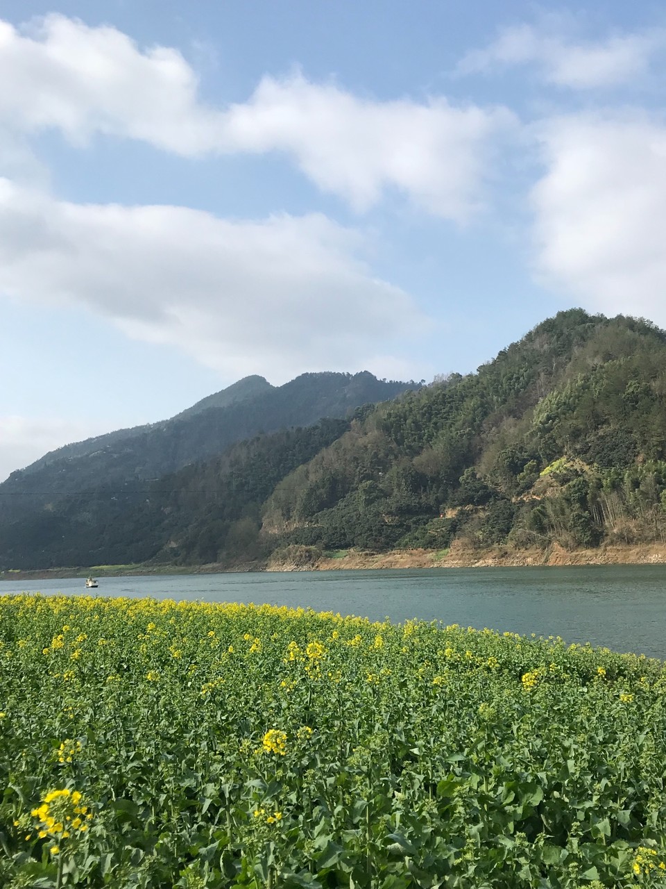 EF23238F-BCEC-4E77-9206-A5A4029B6FDB