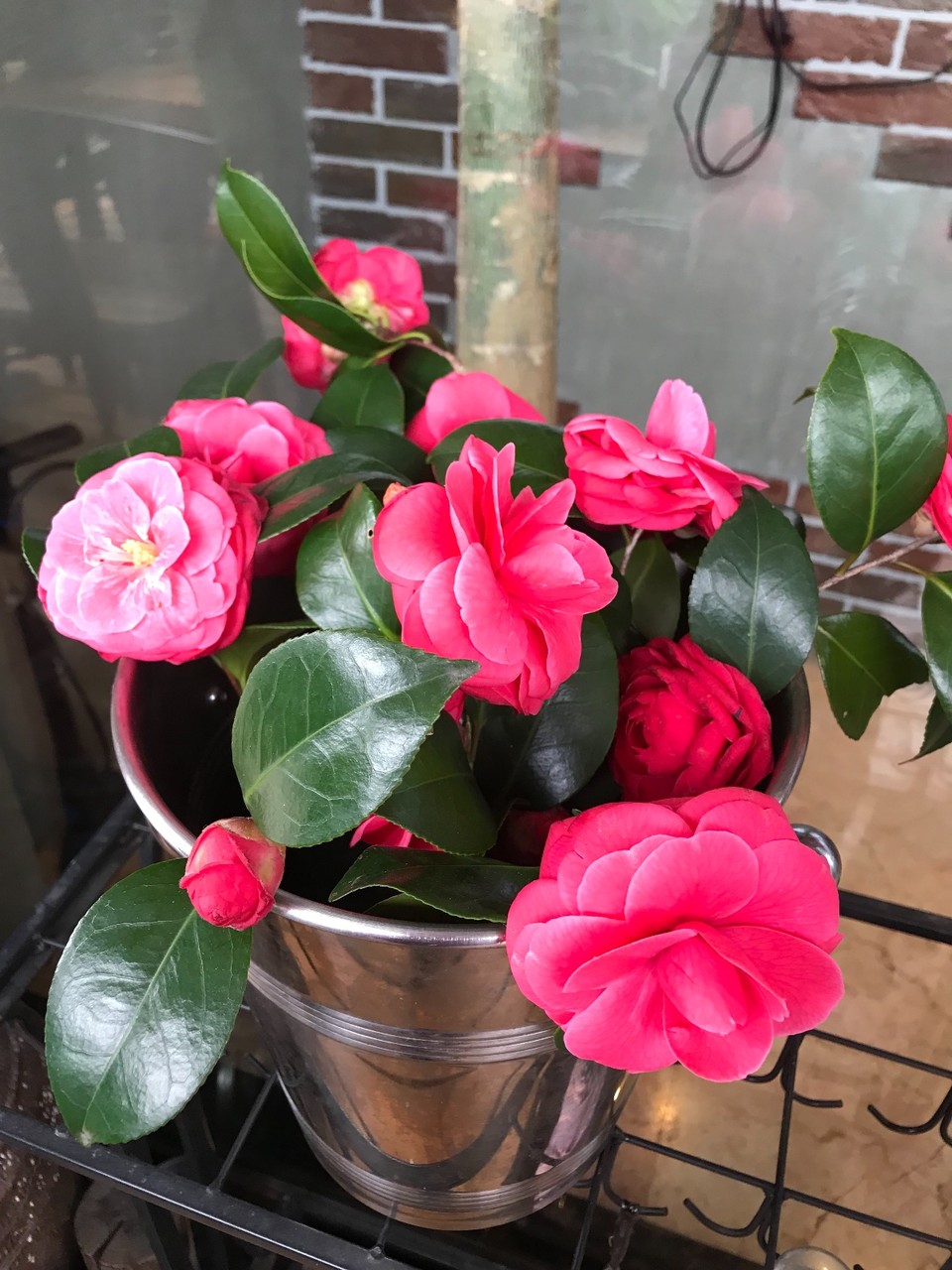 327F3FB6-E22D-4AD6-A29B-6178199E48A1