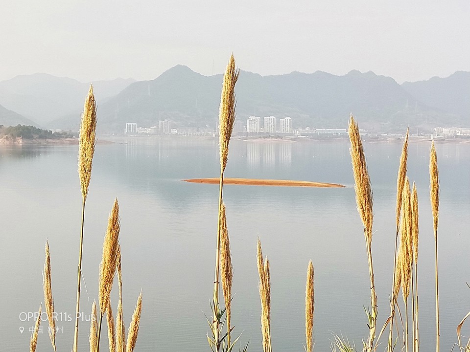 56A16EF3-5358-49C8-AA24-E89B40DE4970