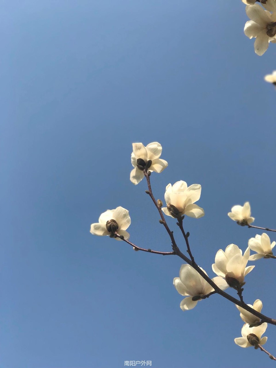 7991799A-6049-40DD-8489-497FEFCBC404