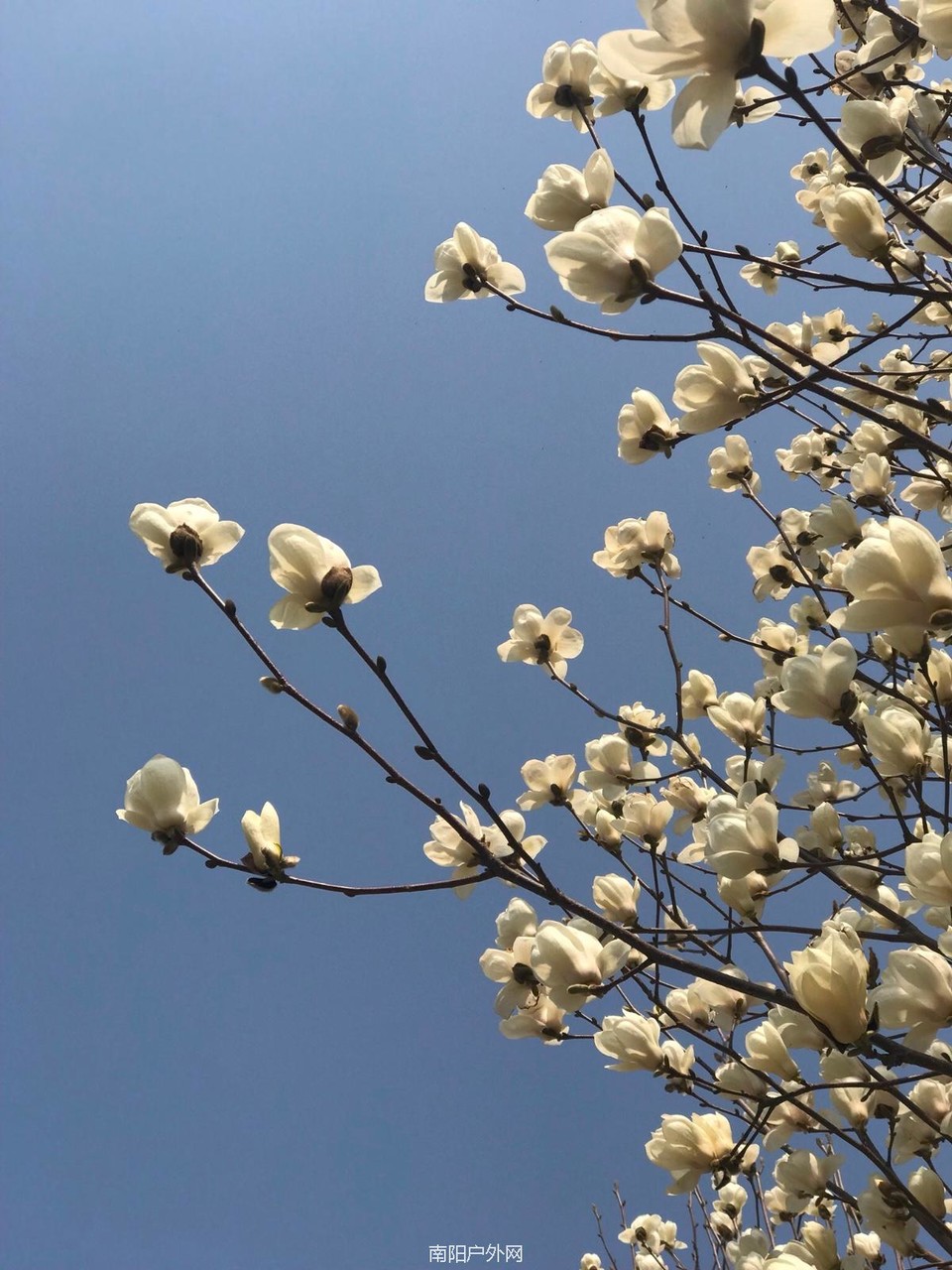 24653C8E-CBC6-40BF-A2DC-5F9332CE6B1C