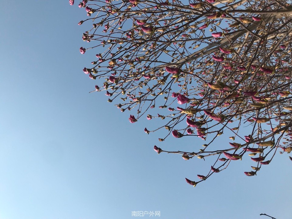 EF4FCF9B-65BE-4AC4-9B7D-37FD82FC60E1