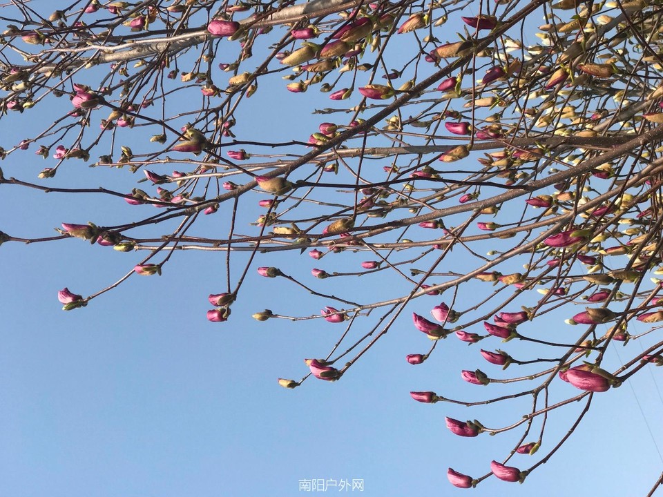 2795A5D8-4479-4D1A-9290-E40496F16506