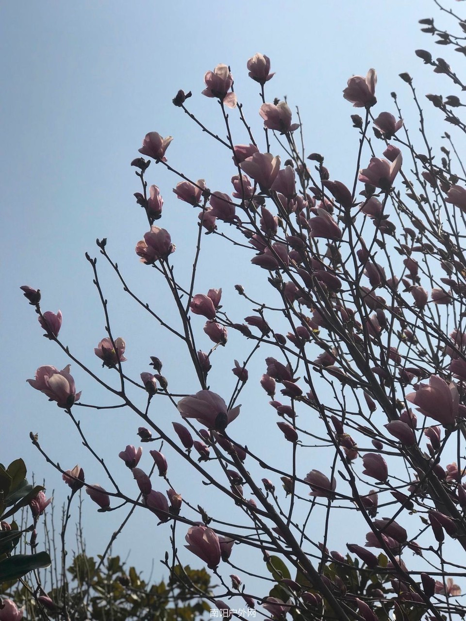 224341B2-37FC-4DED-A926-A264A3B20FA2