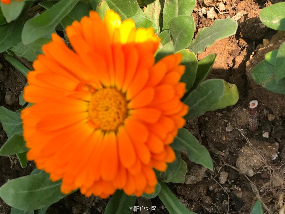 EA9ACD22-00A9-4060-A1A1-0DD238DF0000