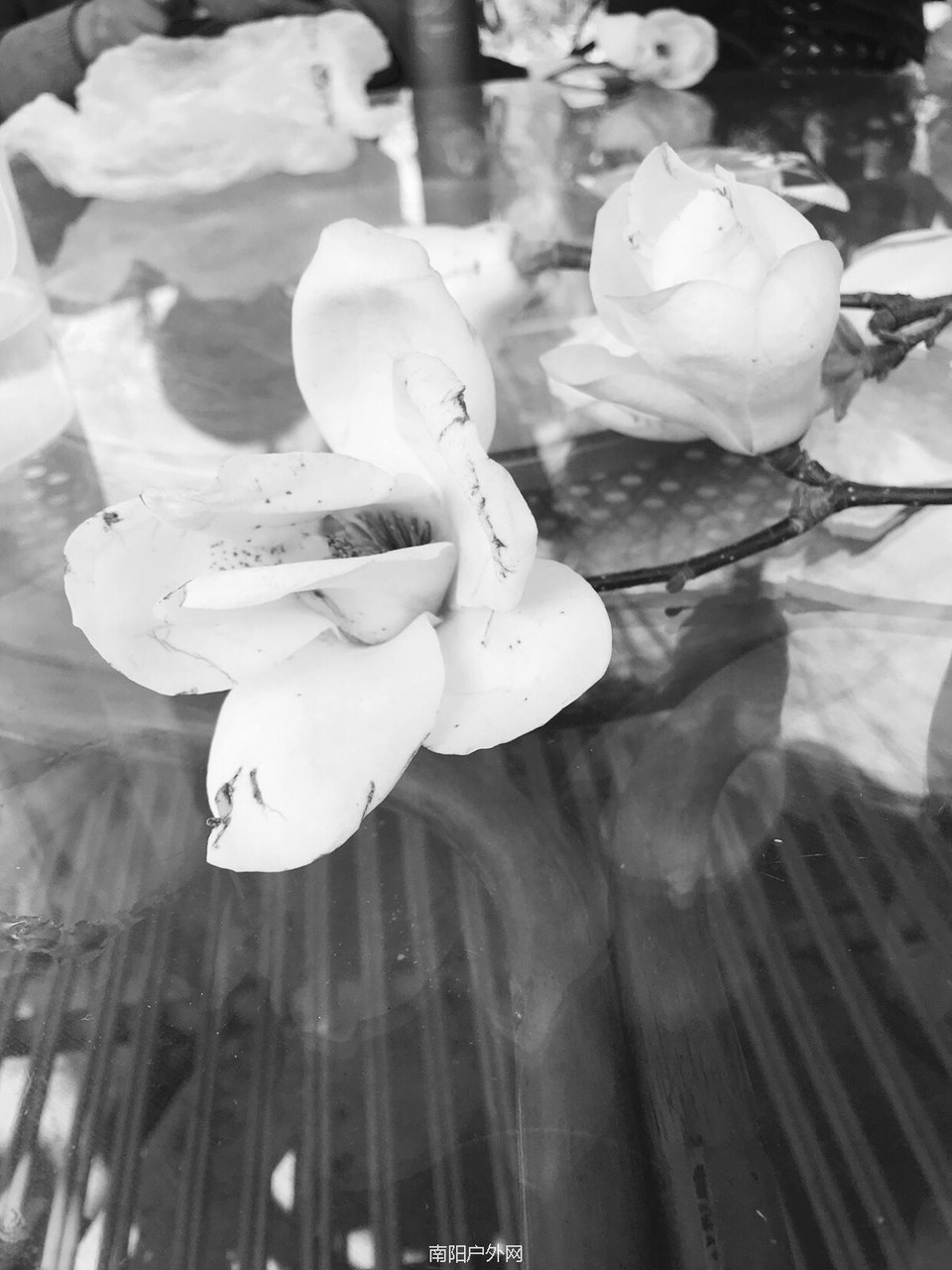 FF57AFF1-FBF4-4A0A-9C0B-9A2A640894A0