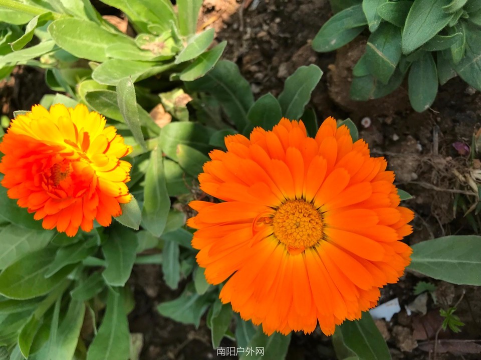 73047779-57F0-4437-8A2F-2BDA06CCA480