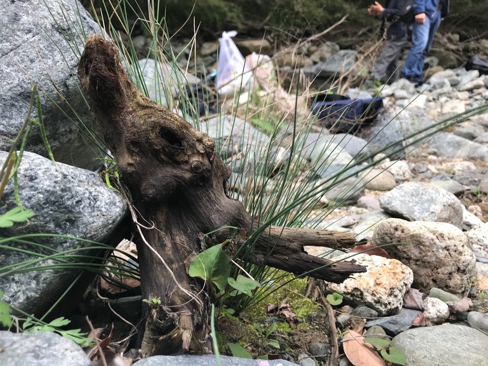 BC458BE8-36CB-47BD-B079-851CDD74A631