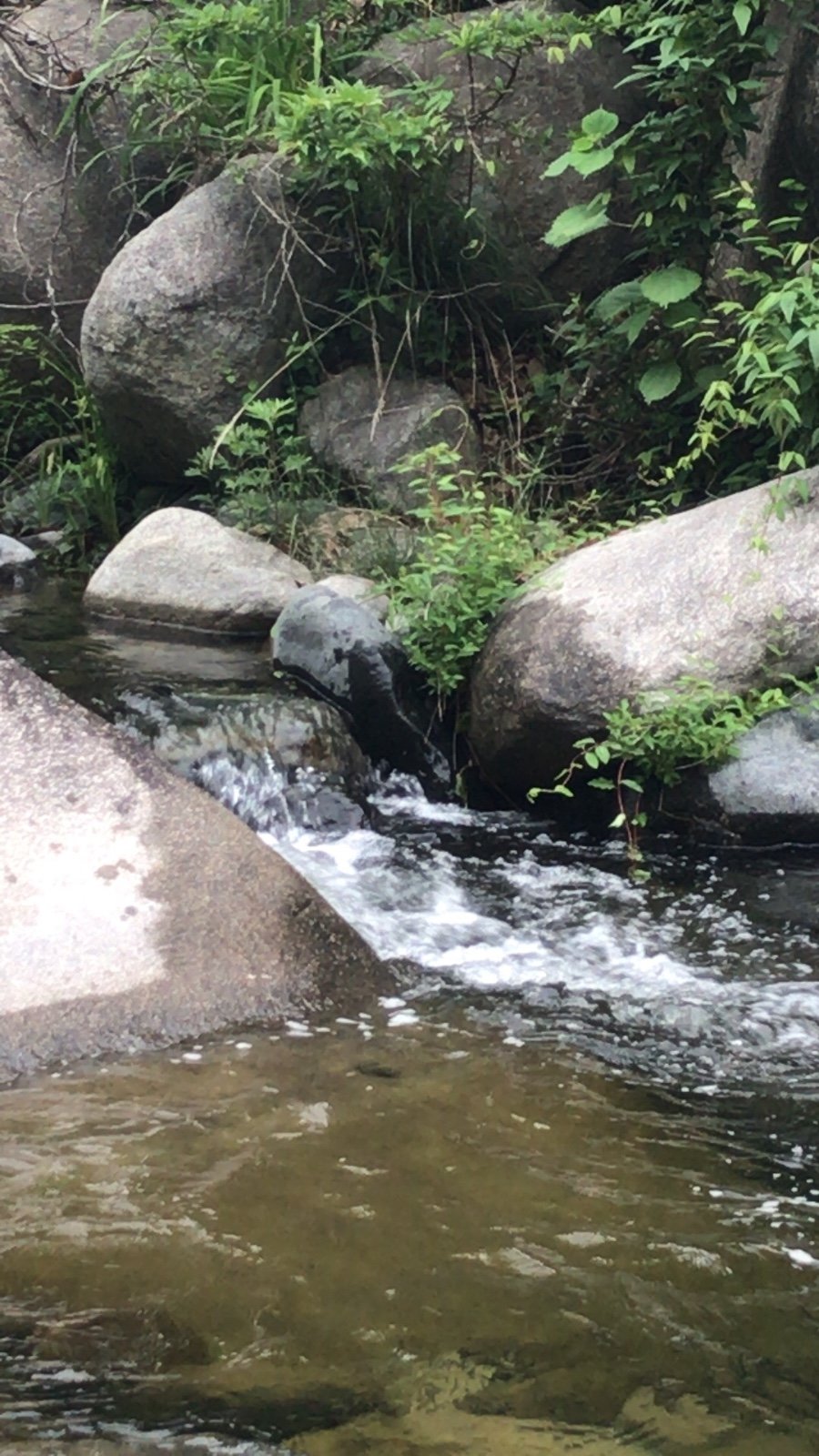 13B96737-7735-4BC3-A29C-4844B2332025