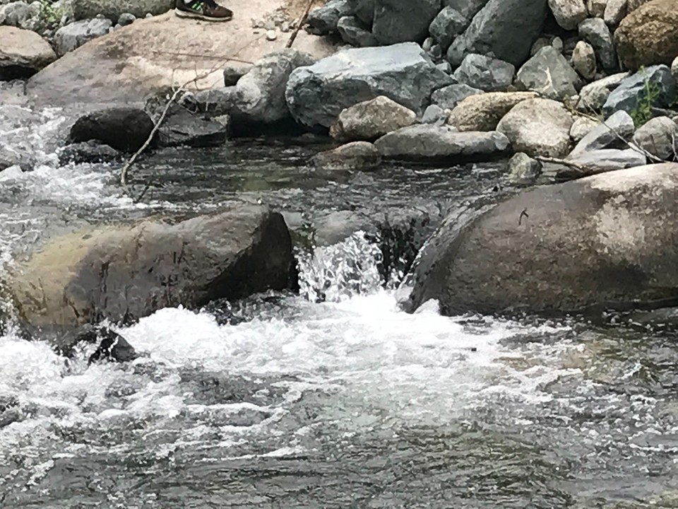 0E63DC27-793A-460B-8FDB-FD3DB2C71FDE