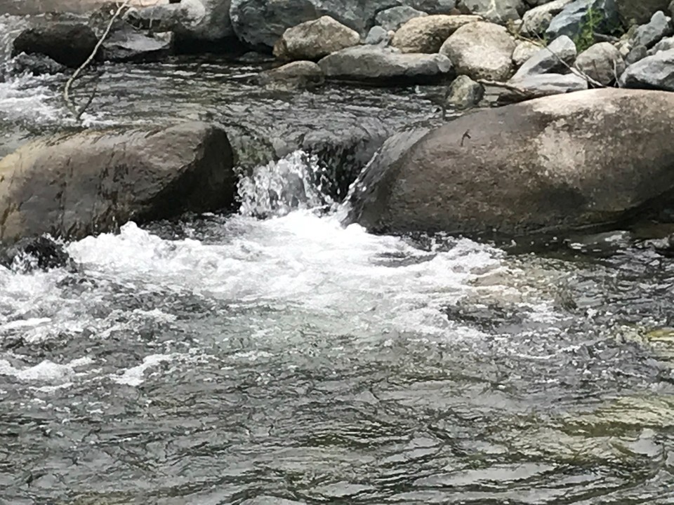 3684F76E-4B75-49F8-82D2-80E74E3B03F5