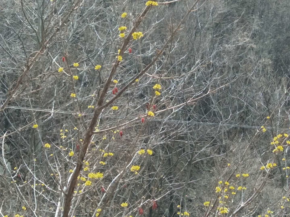 DP_AVsNJLPIpb6siBX-lombHj5c29NCdsAJ1pQSdgqQAcSvHXqKWPAX6gItzHnjp