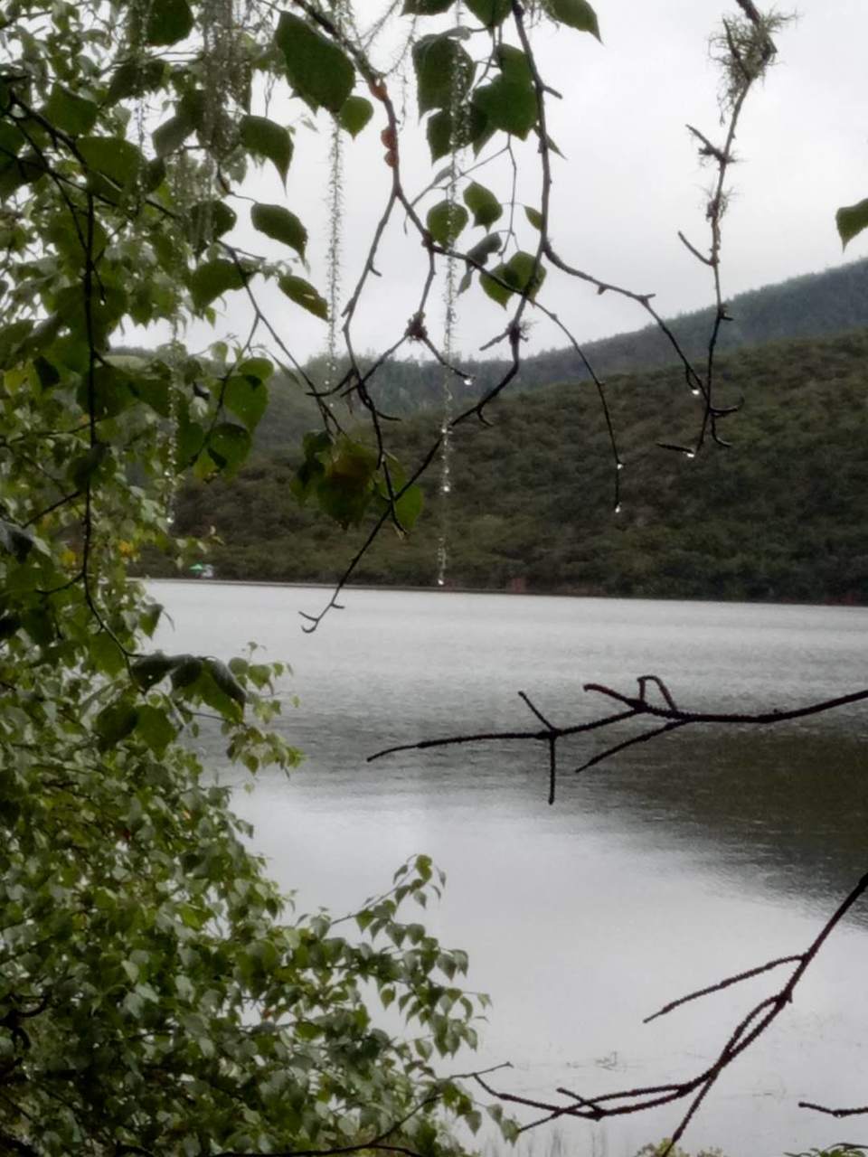 tLlUgCo7c8k_u77e2xji20hwIXVIB8CS__1lhORqpMI42HynnSgGJyJsfTrC3qmF