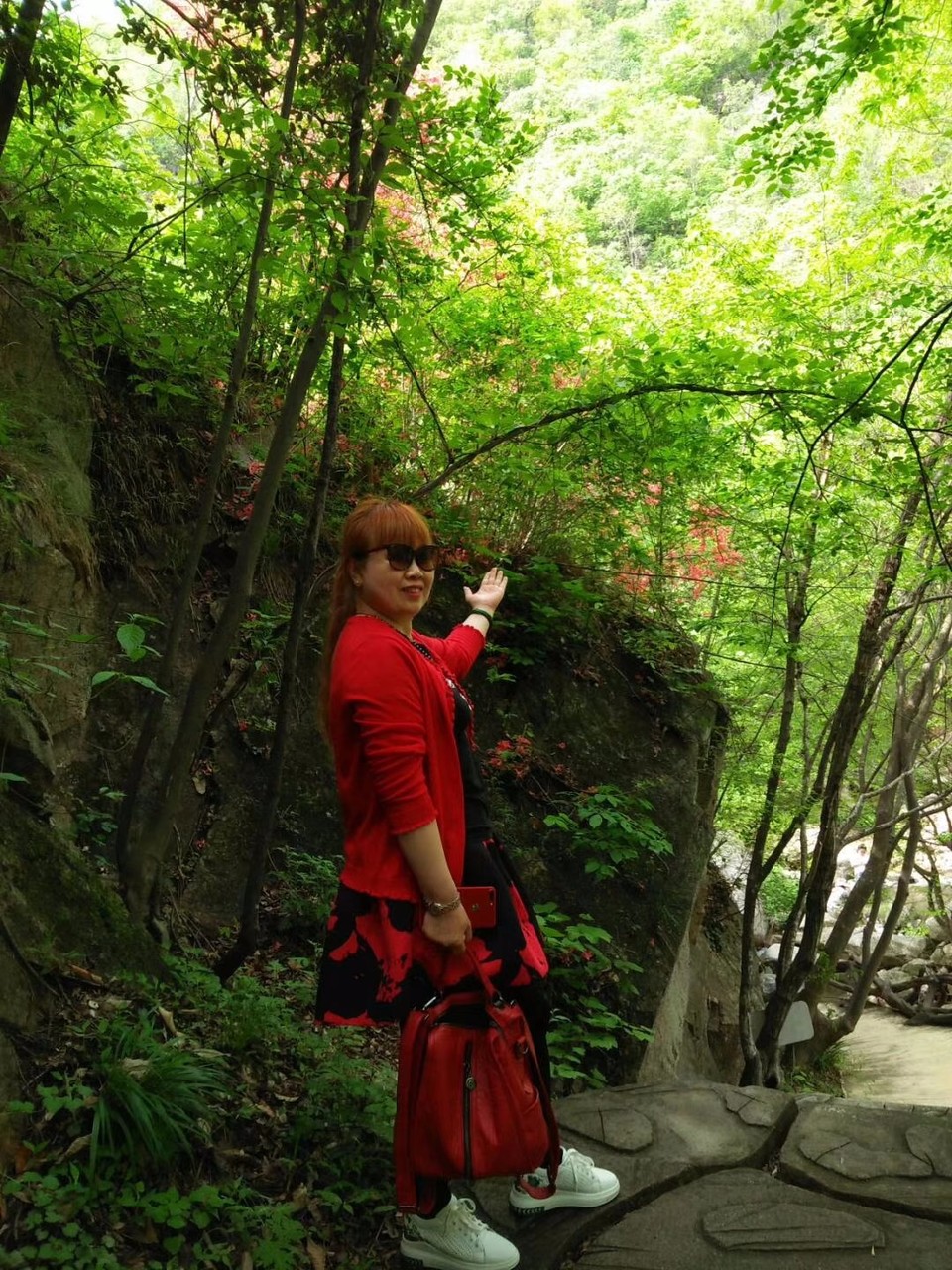 mmexport1525010138971