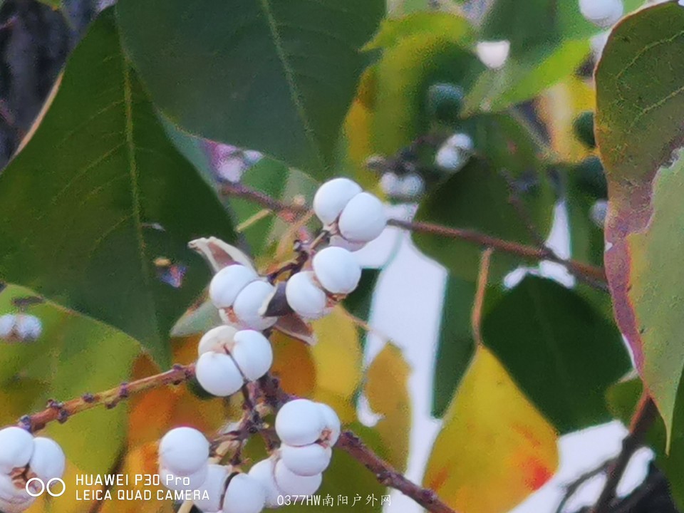 1-db5oYKNrO_RUMzs-iVfaoCDzHYKFnc7GH77dt8wpfyr4h5jPYJl4B5nAZUKnV0