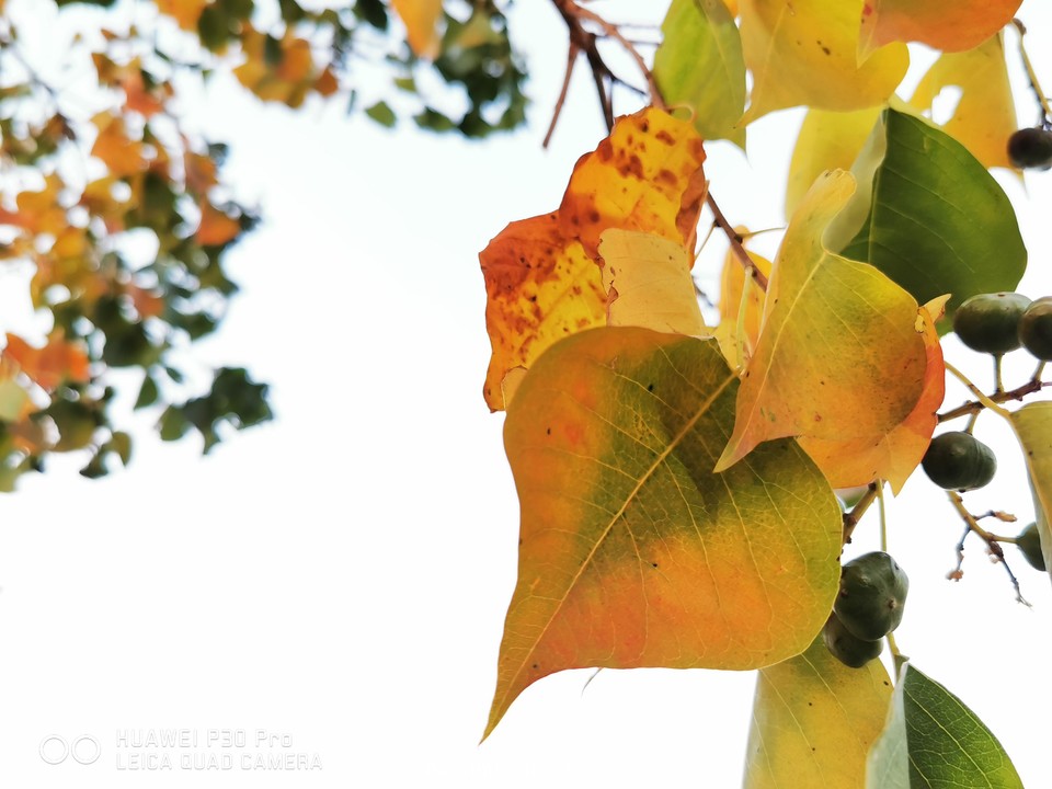 TD3oG4ugy-J-O-EzVMCwYxhfKYyHKMeNemFhqyzv5uFwlxa7H2UGiea5oGiSZIQS