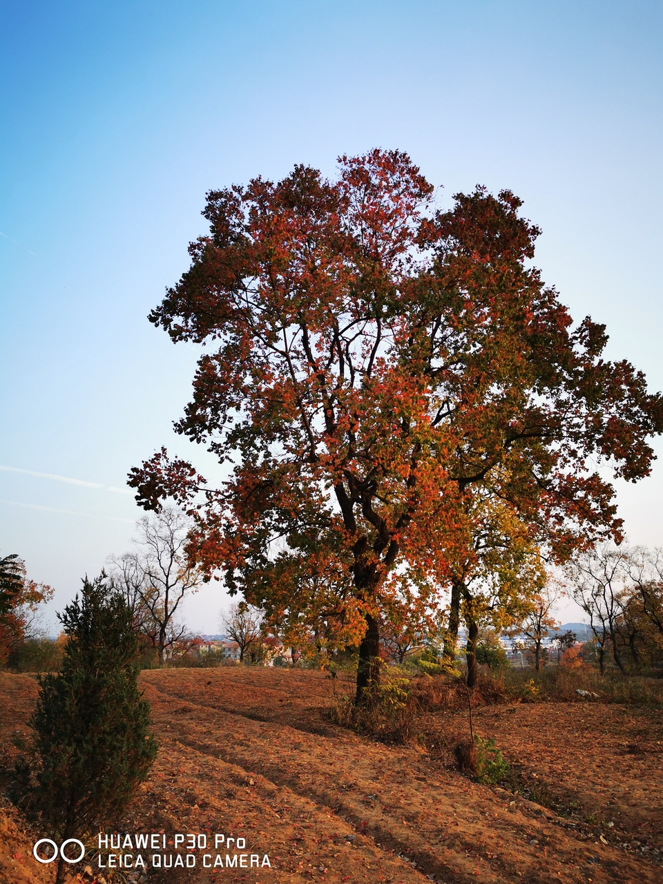 rWYv0wRR0o1aB1xS1xljQYKtUARuy0NiXY3YYRU3qE1ek2u2rlUGXPZTD4Ivb6jV