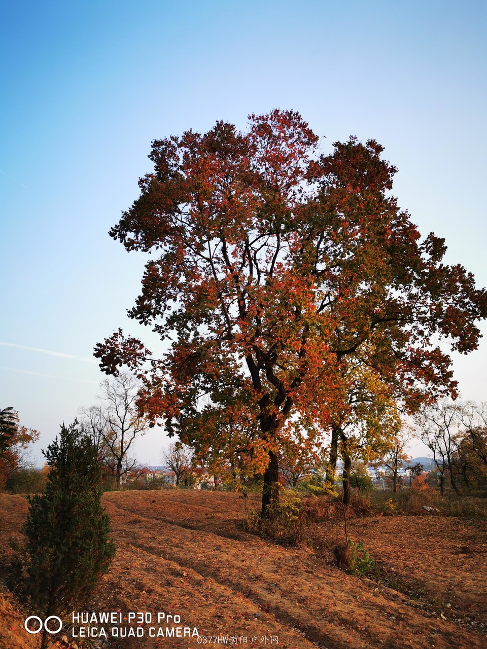 rWYv0wRR0o1aB1xS1xljQYKtUARuy0NiXY3YYRU3qE1ek2u2rlUGXPZTD4Ivb6jV