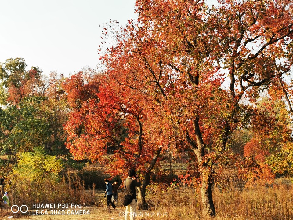 HUDvm92N1DJp05gEdftbrNcLn28NnykmD4I3ue56Sv_NGfH5qsxcIRFu8TFFSDPE