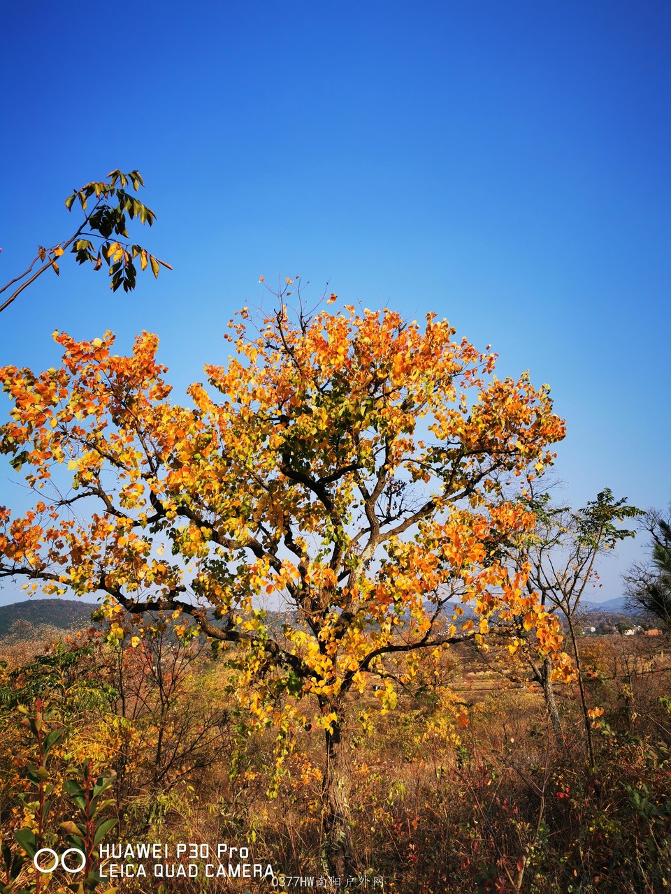 8Y2bLudS-JRkzSuRUZPkduAu6qr4Q38Z4FYDTgWNM9bRKh2AaQq9Nu6PI-2FHKZl