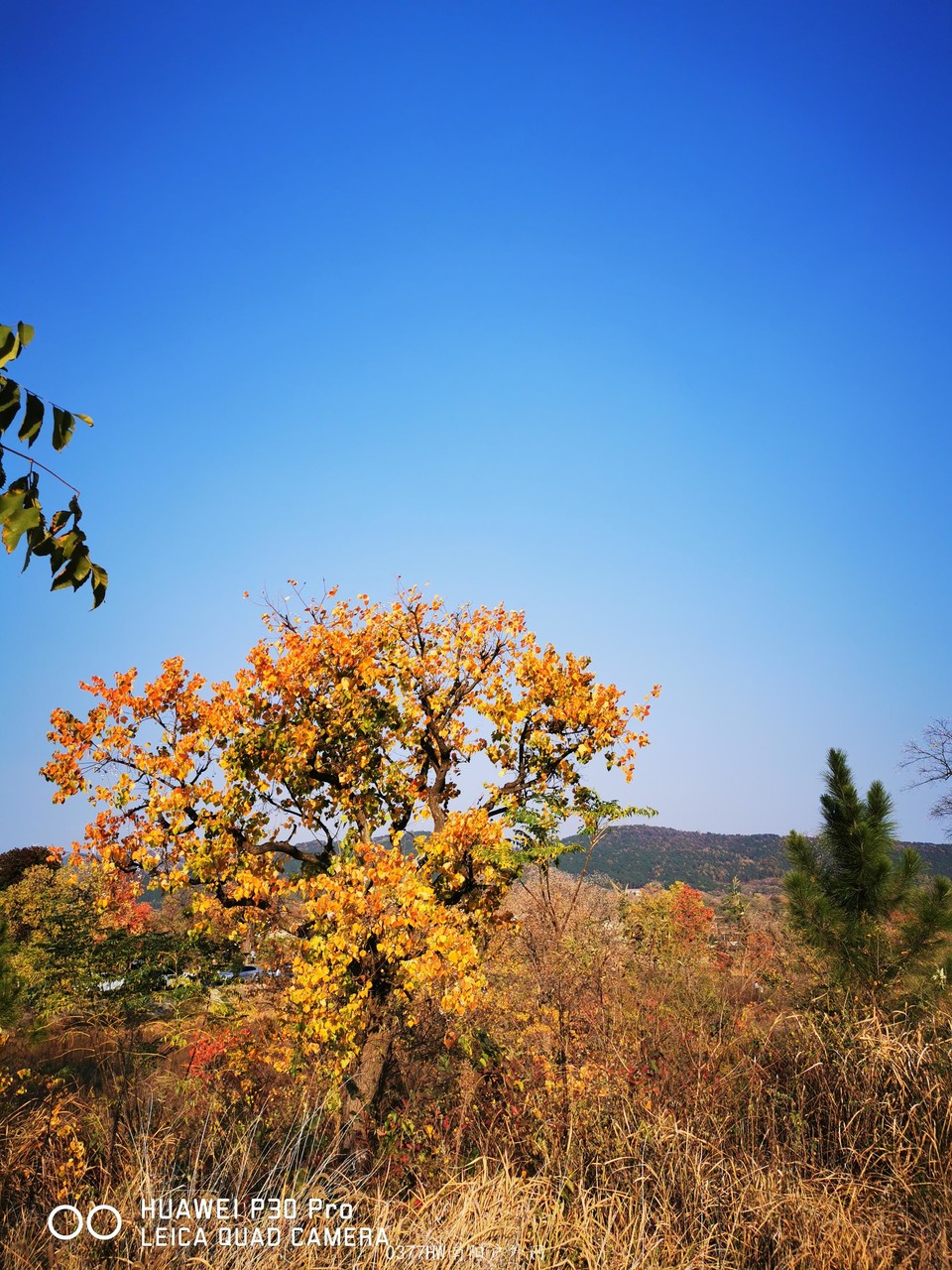 -E-9qCJY-FbibPltfKhDv-O2HmvyA2eFTaWDGjNUAown_mX8wQqW70JL85rUNL-B