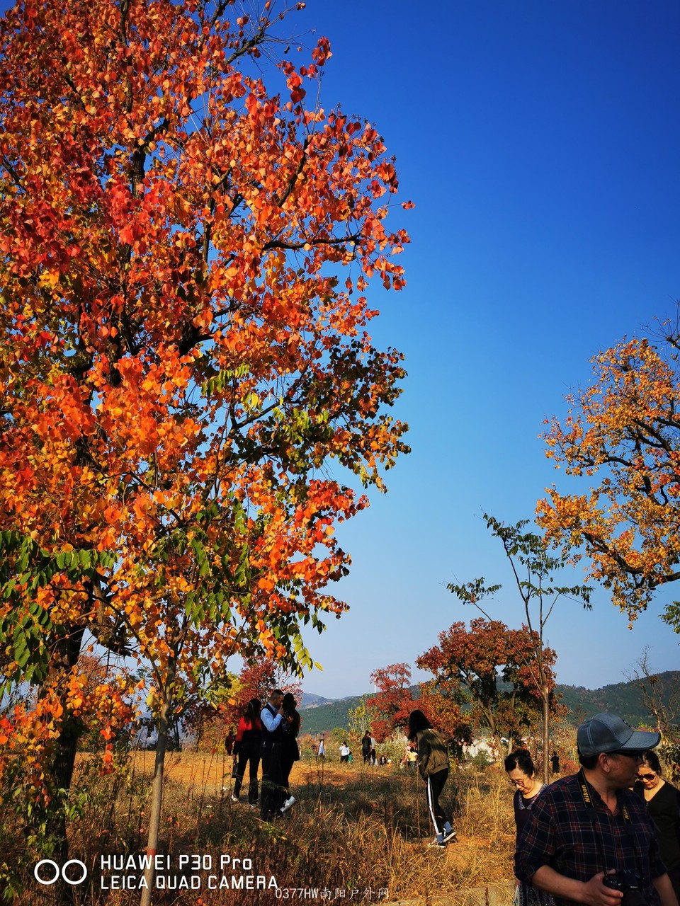 ypZCUaJgdevmWz6z6m6l5TKvZTqqvzlDioyOK4ZphNc8K_Ctob9Tq7InrPTcIqoj