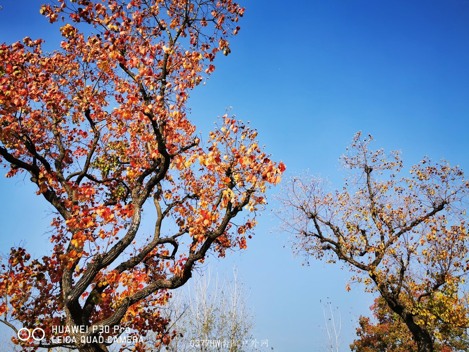 lM_GPlTb63iO_0IP8R-B0jyuwlDOByS6FtVDIuHXizBePRCEvvPuIPDPOcooMH7a