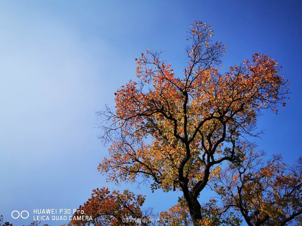 tYnVa5X8zeB4t07Oc54xDkVuQVG_DAaoz4ZXy1wB4xnT9XESA7yoZvXtwbRzCSgD