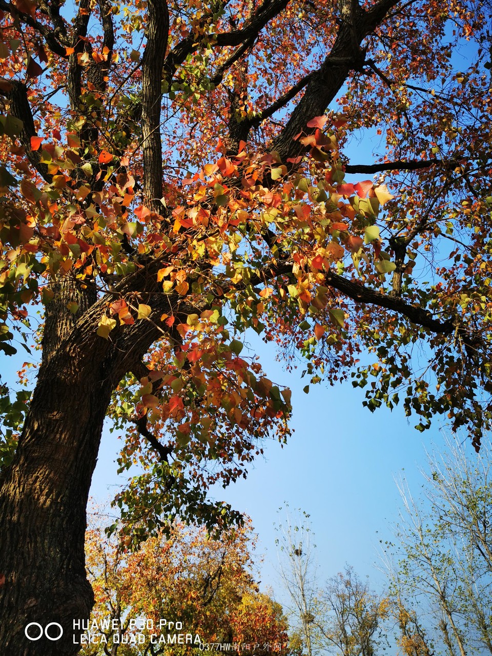 7gM4G71zclcz_XeJZNJHpMwJPVbFOK80M76HeZl_dfqiQ7b5yMPW7hcBs8PmtS3v