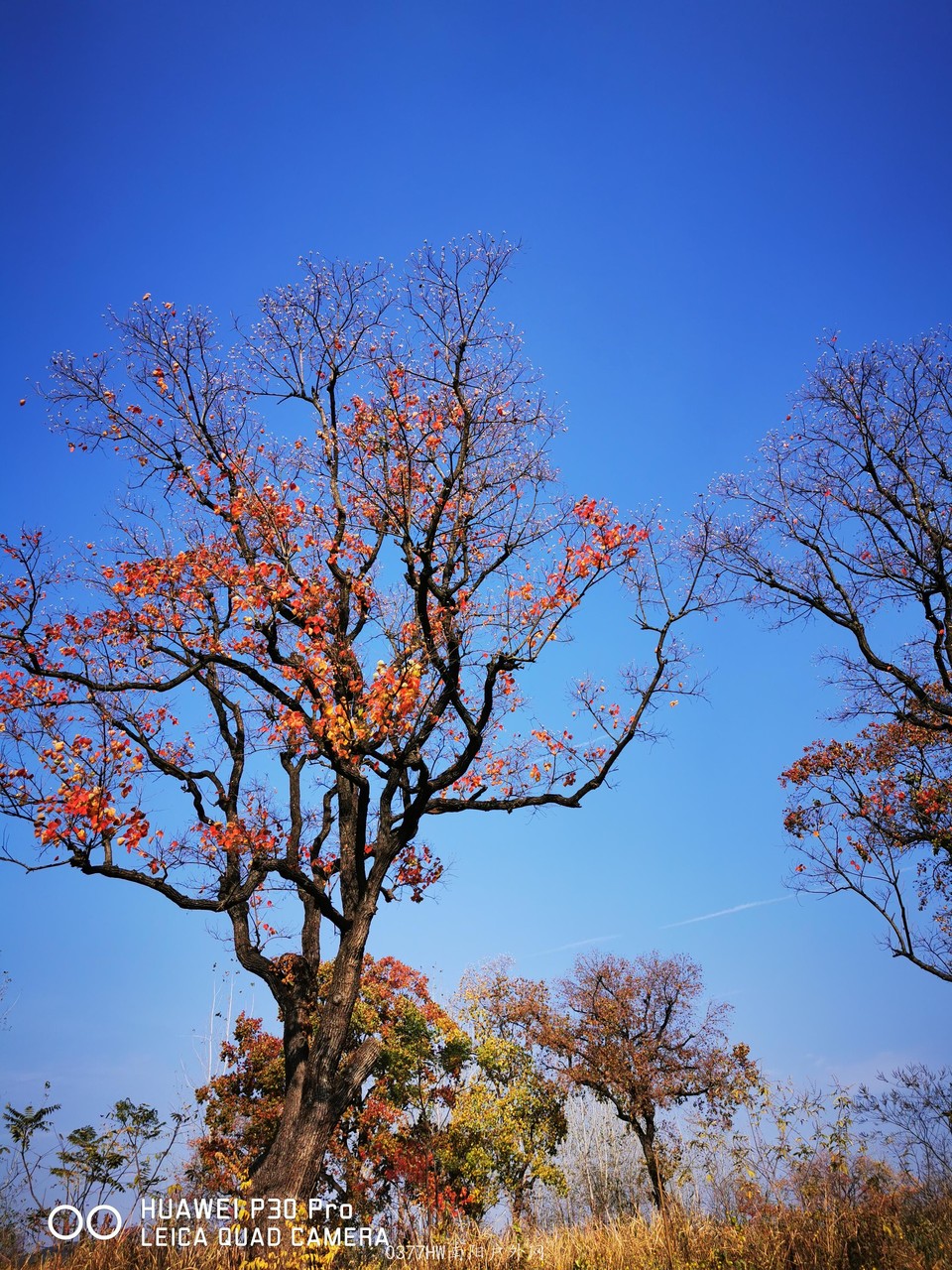 dTwb0u6ex2soQhG2WjcczXcJb5UCOOGjanJpSZA-5s4H7Rqmh1fdP8cMO14dR3Fk