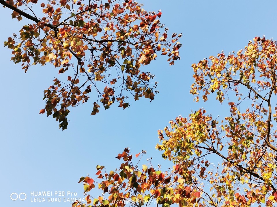 zSLX7s5XjsxqDdxatMyVSA2MrGbU6T9DUv_Ru7LGM8rbNyILJgYGBt-lxslnpbGc