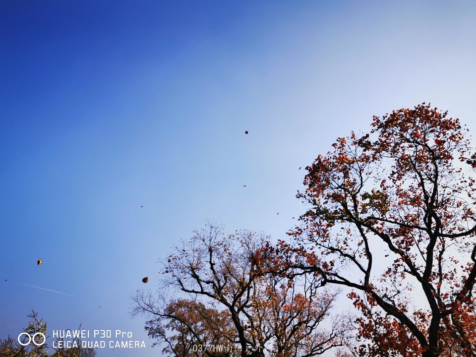 EMz5G65LCZhLF70MBioLfhZ-wkBqQIBkD--LX_3GX_-wzFuz1bmMuK1TdR3yL1Kf