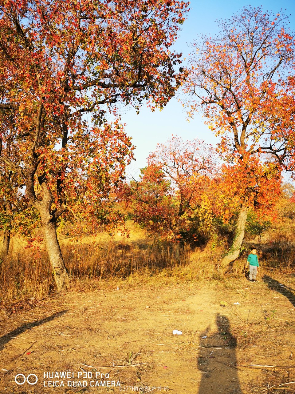 xTKoR_9SZmkCqbsPplptdIiOSrkF_Nd9S9Q56TnEMZIHFTPCpR-J0pb880_GNEpr