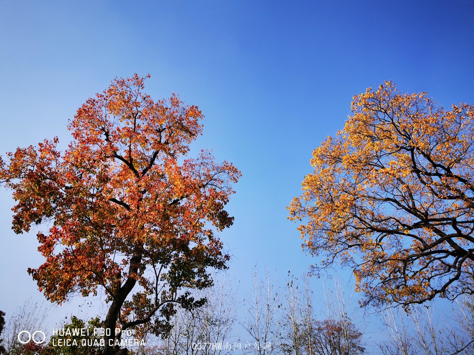 i--Gkn_klMHcxqO5K8Zyx8naCxOazIB0ZG13KqrSb9v9nM0Yb5QkquyhbJ2QDSmj