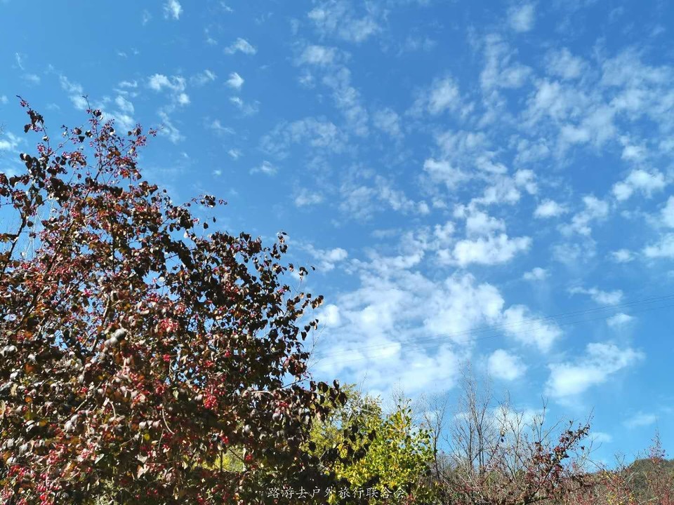 31Qb3lSIIy3xV1RLadkll3iIJRyUIqrdjT2JQf93DArDCqowgdGzYtUvJiB867WO