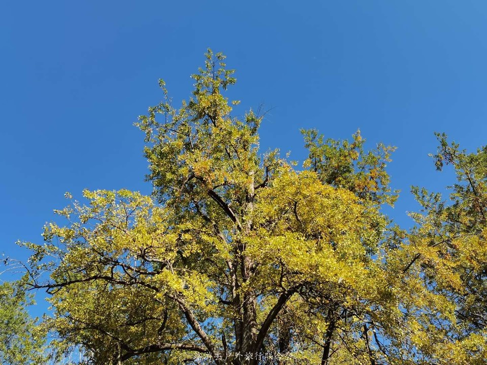 oAFoVFG97NDA7zYDfDOraiUcDADxFTnEyPJTjBA23l07zVinNmNISfBqnzo5cwom