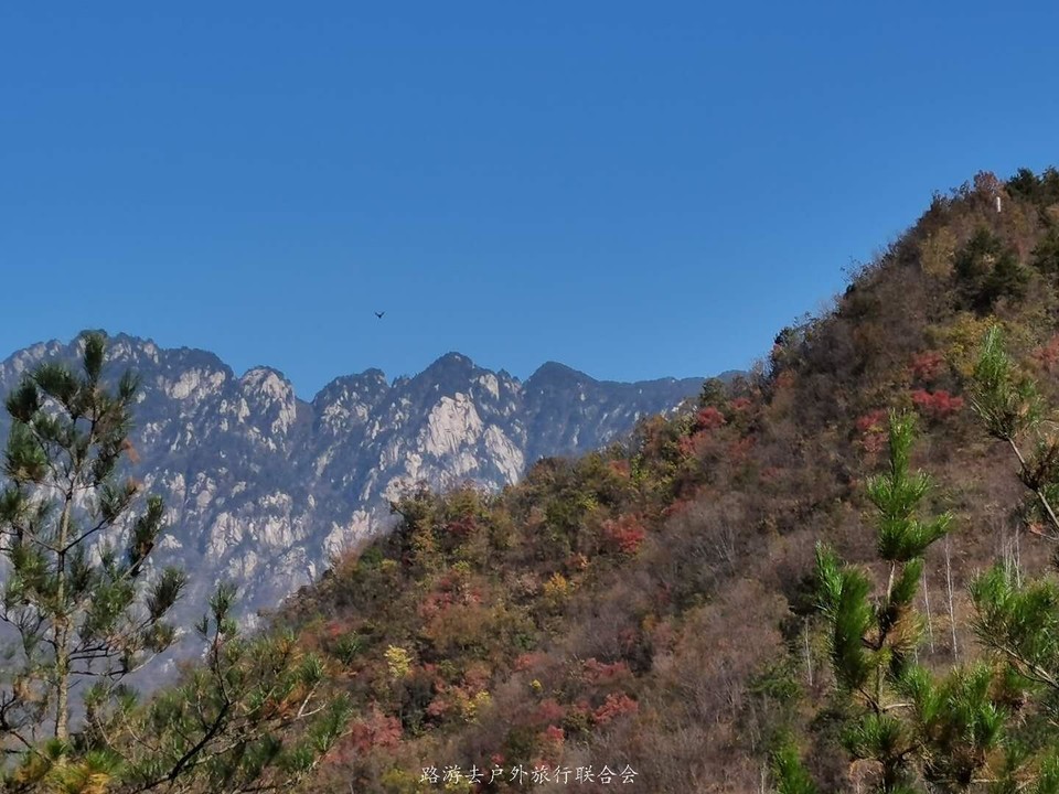 h_cmz95_q28va0h3bVmsvsJDPRXRj2dU9BnT2jPzMHrz4IKaZDPWq98CJg8DSgtT