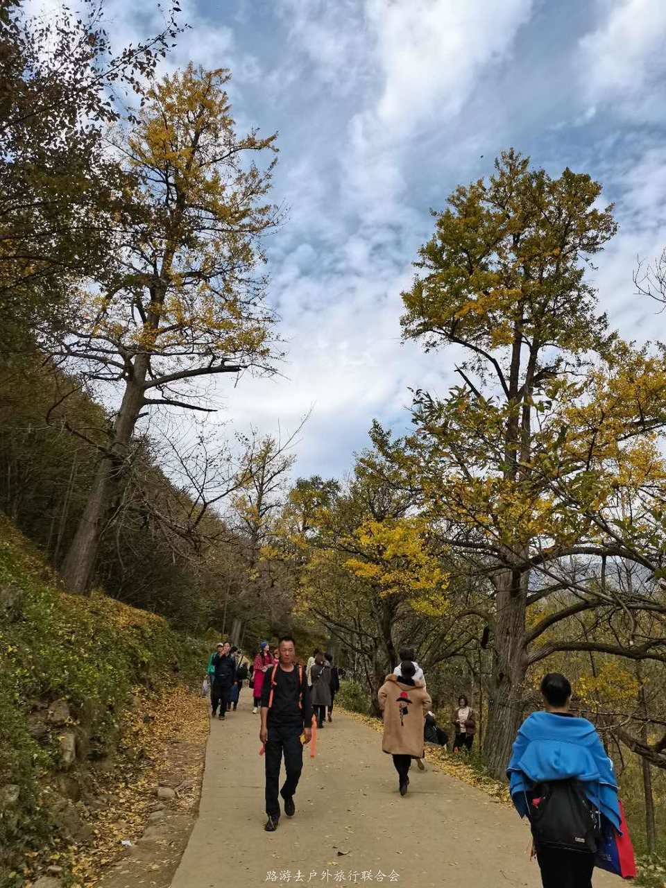 AH2LBu14TiZbhuqsMayXowIdewrH7v_q-5VHiBzBofxDKyRJwrdyR9ryUoJuyTqk