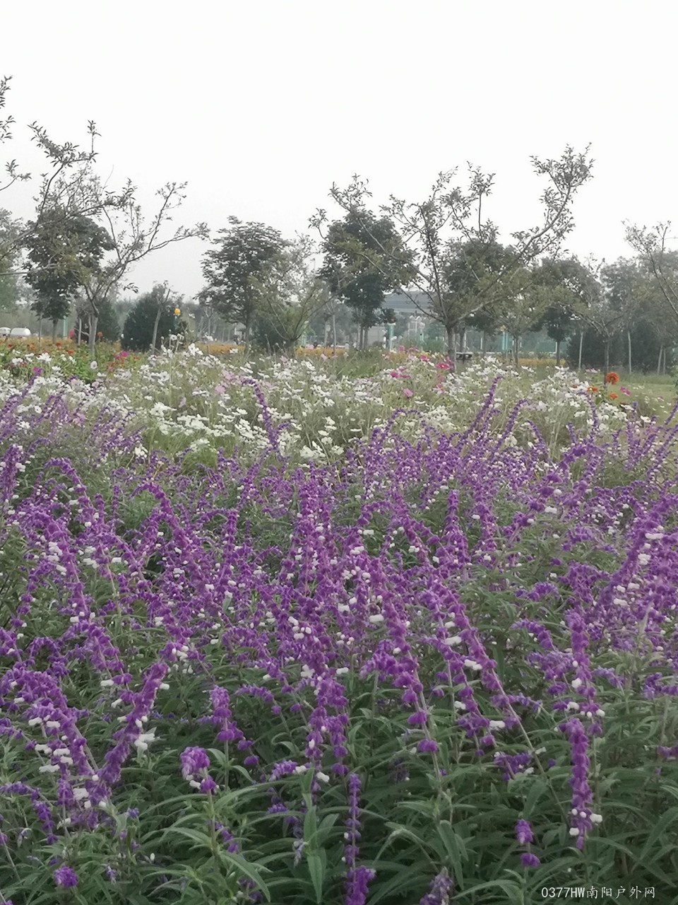 4JmaR3UU7x1agTkqLjXoB6z1KaptavxOvT50Go-LI9ho75iSLR8yDAuZo9qmc2UW