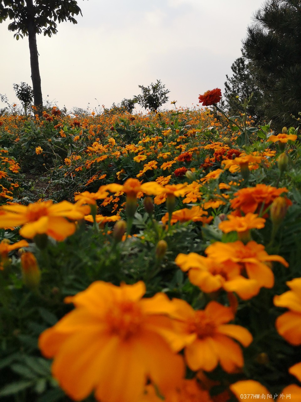 qOa24sRqq8-ETZYSO1BaQIRSaCcFj0fR-_BvshTmVPZz1C_szH6tS1mEwbKsI9GS