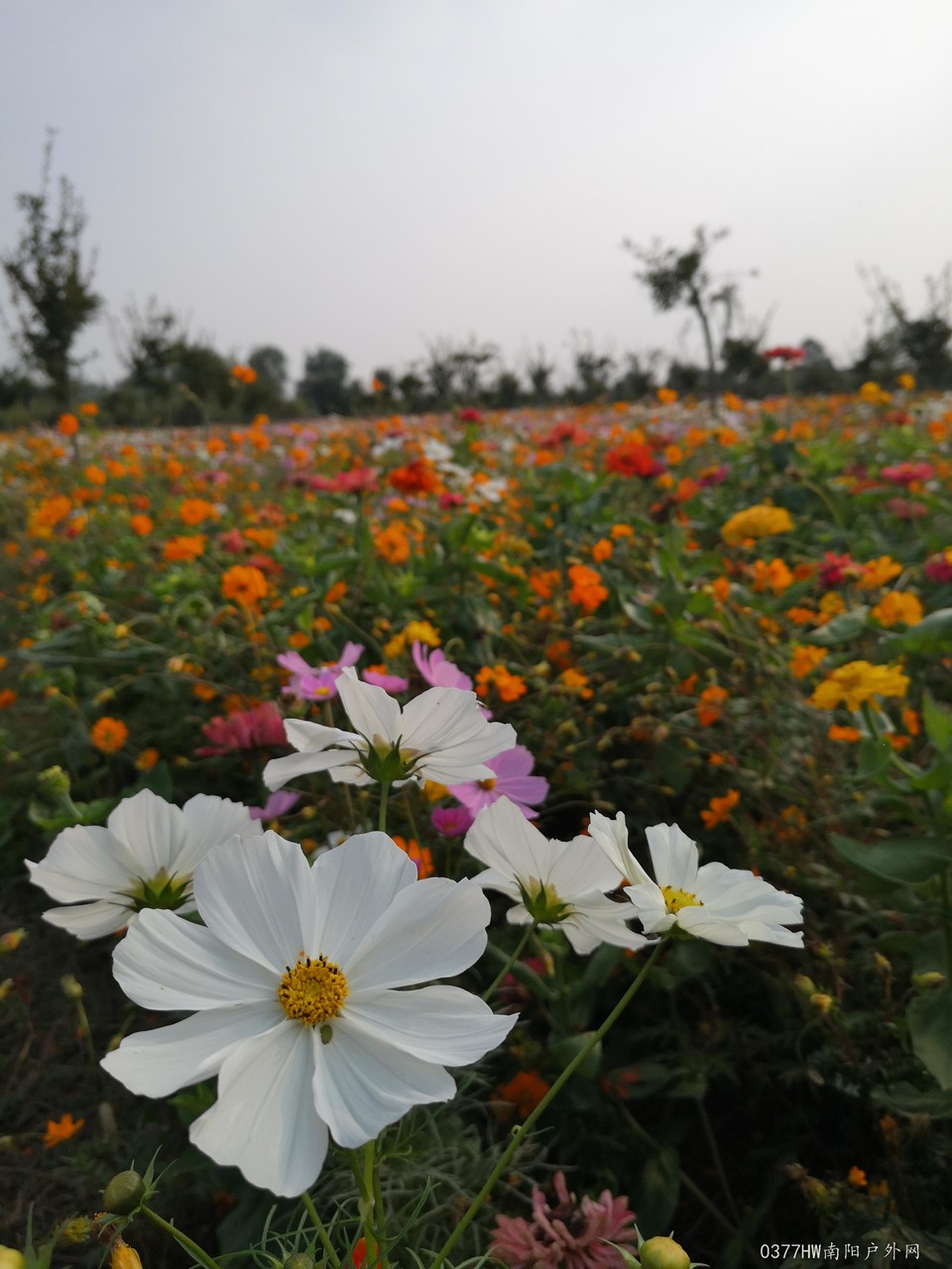 pd5jEJ4A8kTwHwhS74yPgVJP7r3JjYW05E07yv8ioh__UWbxfzMj1dh1IMUOMz0U