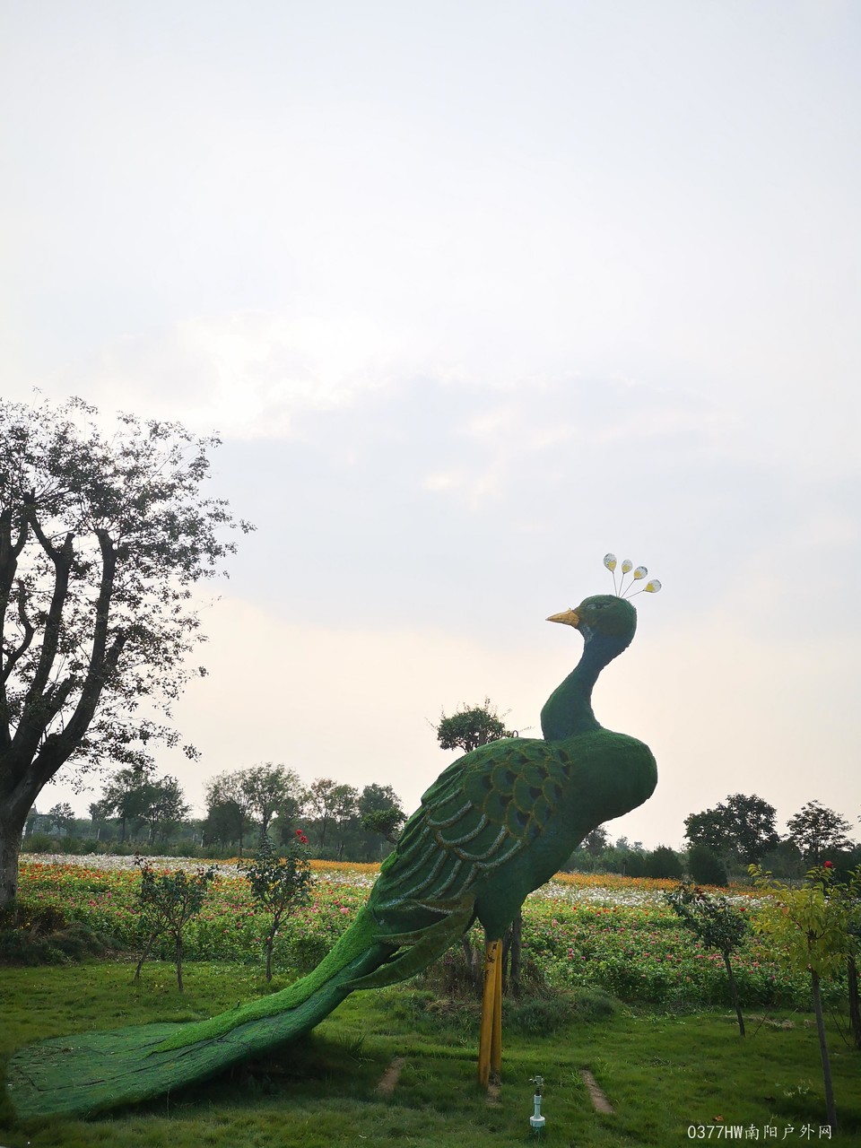 Ee6HFPL6IrZM5L7YN14J-OcbFDbFYzf2Utyql8gfEhXR3OjjaMhV_nB4HxgU_Rmk