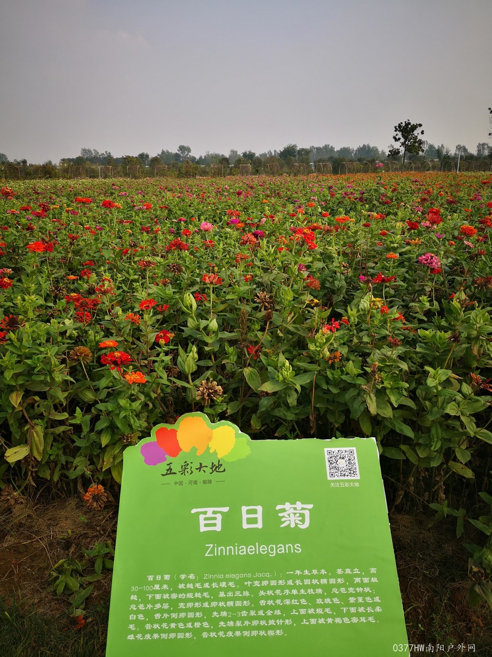 Kp3UHsecNbCKtEkjy33K9l1Q5qA1atcV6kk9RQgOAgZFWocJZfN_f6cbie43YJ7z