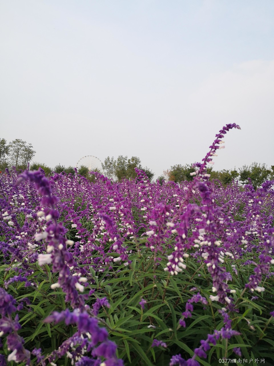 xUtMoDUNTFbNuiBlRQfu1Cj6EgHZ5G09qP8RlsXlHONWvLtxZkhdp7ydQWfvw2G4