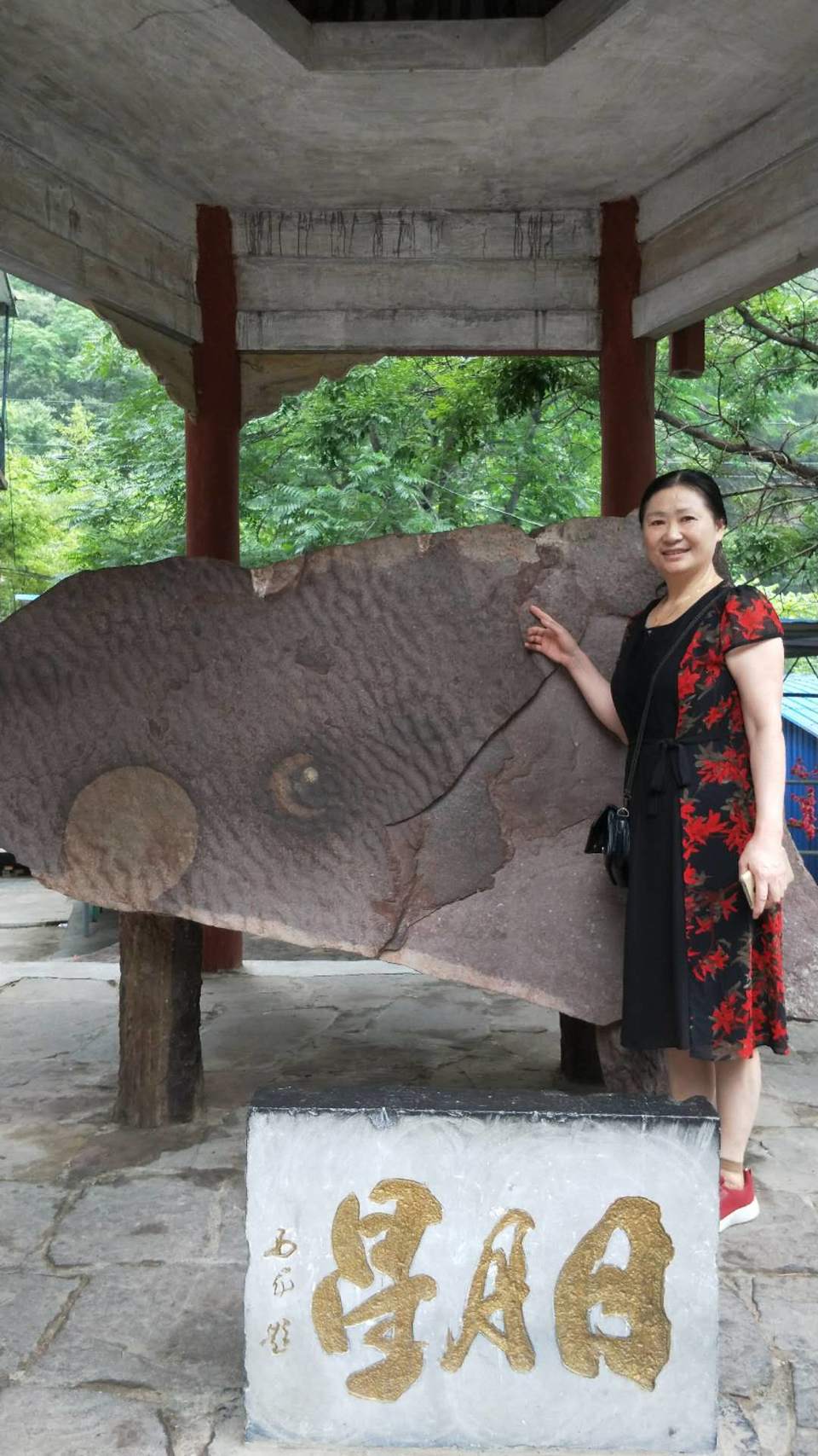 6CUeQnHB8KLVSD1l-GNQFLnrWXsmnpQyFqOIfdrv1ssT8-4-d0AmRo9q2IulqNPK