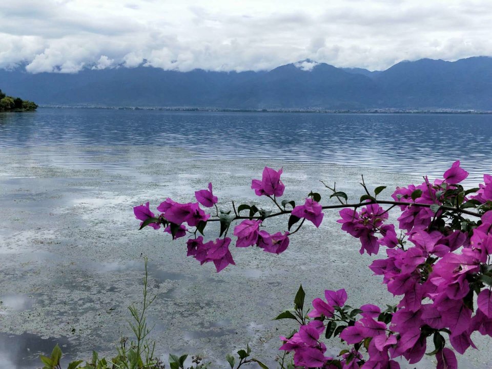 y8OVyMj8GU5kQwfrD93Nm9yhSbv1hvFdoEuKtfja5d1ClLYbUPxP8_s4fYjzn72a