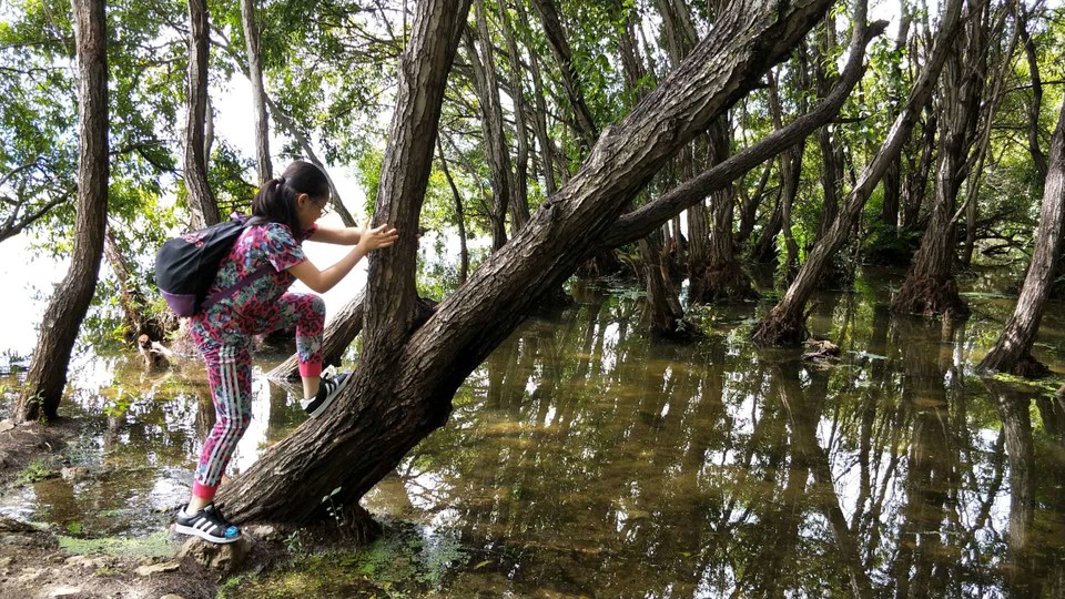 r0f96ijgCz3EXIcK8CX-dzVFntMWzcDh7al6A4WIKK0aQt_so4eTsc4pKDmTHU15