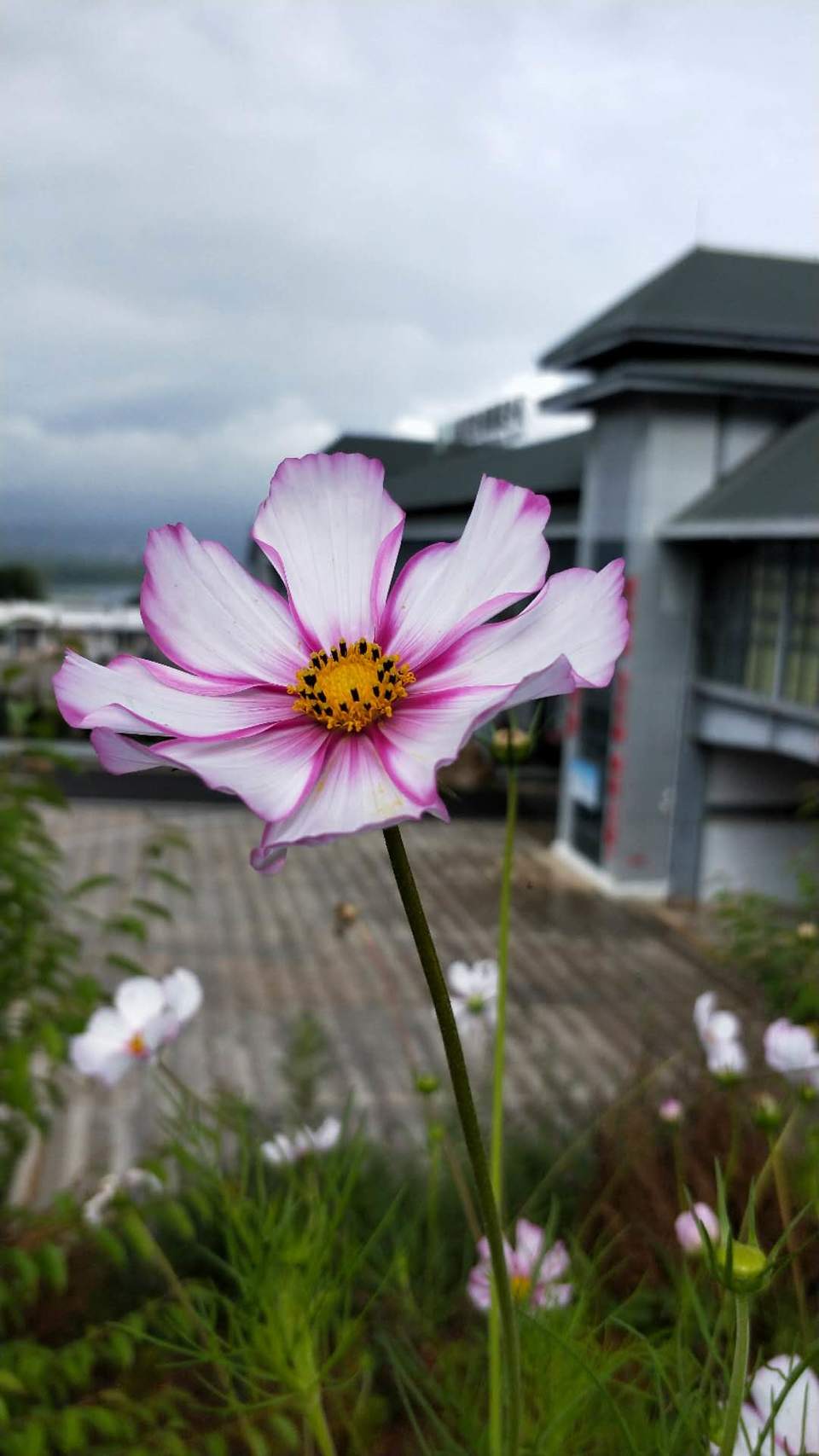 22iy7POKYU8J7IbkO_CnxIM4TDolPmMJ7dn08ad3taSe2UO8eislt5JDblp9Nhx7