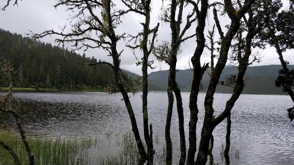 dRyG84zuO_nFojVu0JqKH_QD4k9yH2ElIlxbmxAwi-ttR0q_b8UZuRuRcoqfd6y2