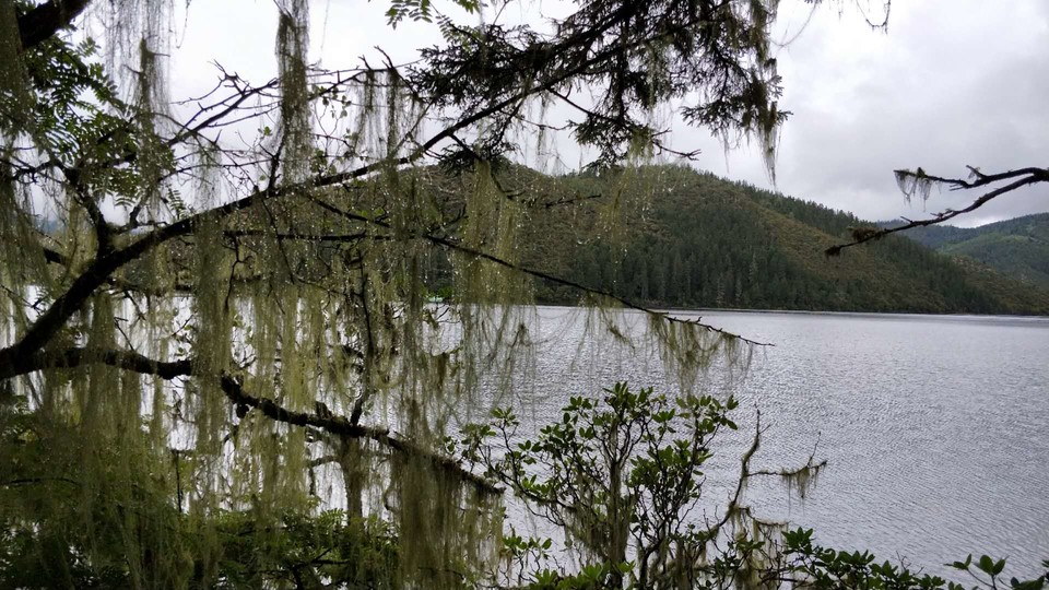 5FWQUE1sDzBcTnPHVhvXWEjE4-h0b6CQ7aZON1bI7KAq8ktp7iVDEmswdFSh7QMV